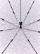 UFLS60-12 Зонт жен. Fabretti, облегченный автомат, 3 сложения, сатин